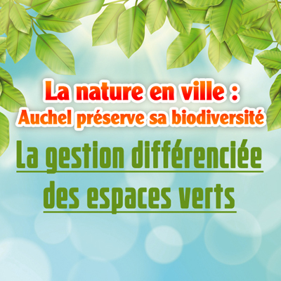 La gestion différenciée des espaces verts