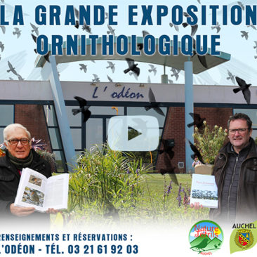 Expo Ornithologique