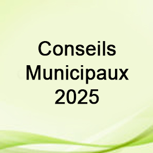 LES CONSEILS MUNICIPAUX 2025