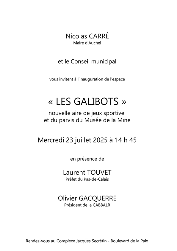 invitation-galibots