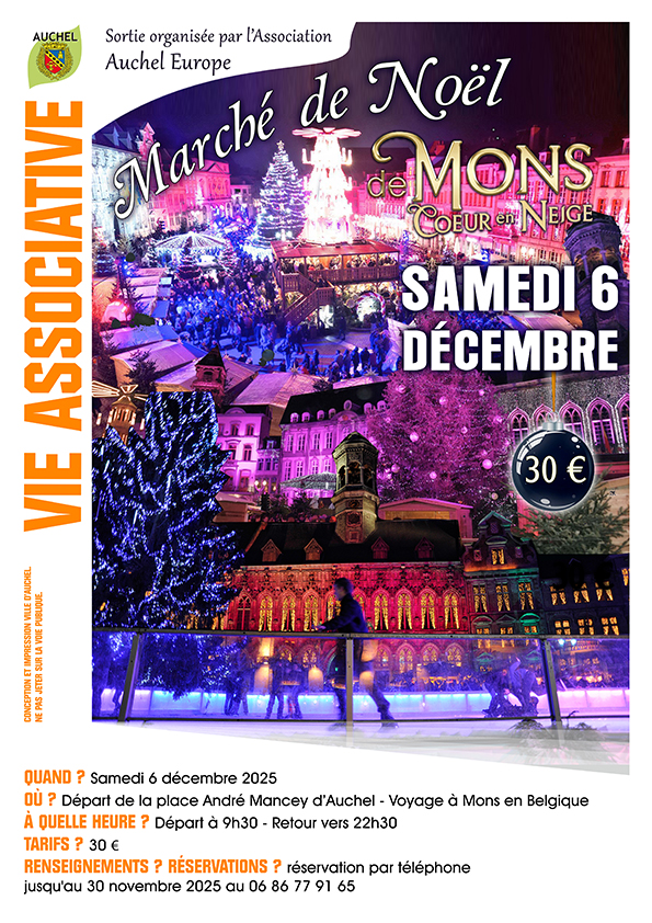 Voyage au Marché de Noël de Mons